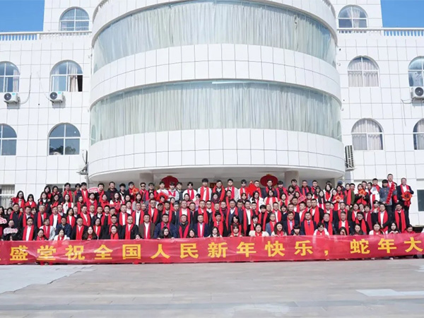祥龍辭歲，瑞蛇迎新 